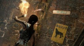 [Gamescom] Quelques images de Tomb Raider